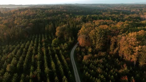 Vista-Aérea-Sobre-Un-Hermoso-Bosque-En-Otoño,-Dordogne---Francia