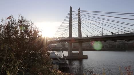 slow pan of the tilikum bridge in portland oregon.