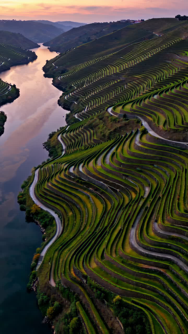 Douro Valley Terraced Vineyards Landscape
