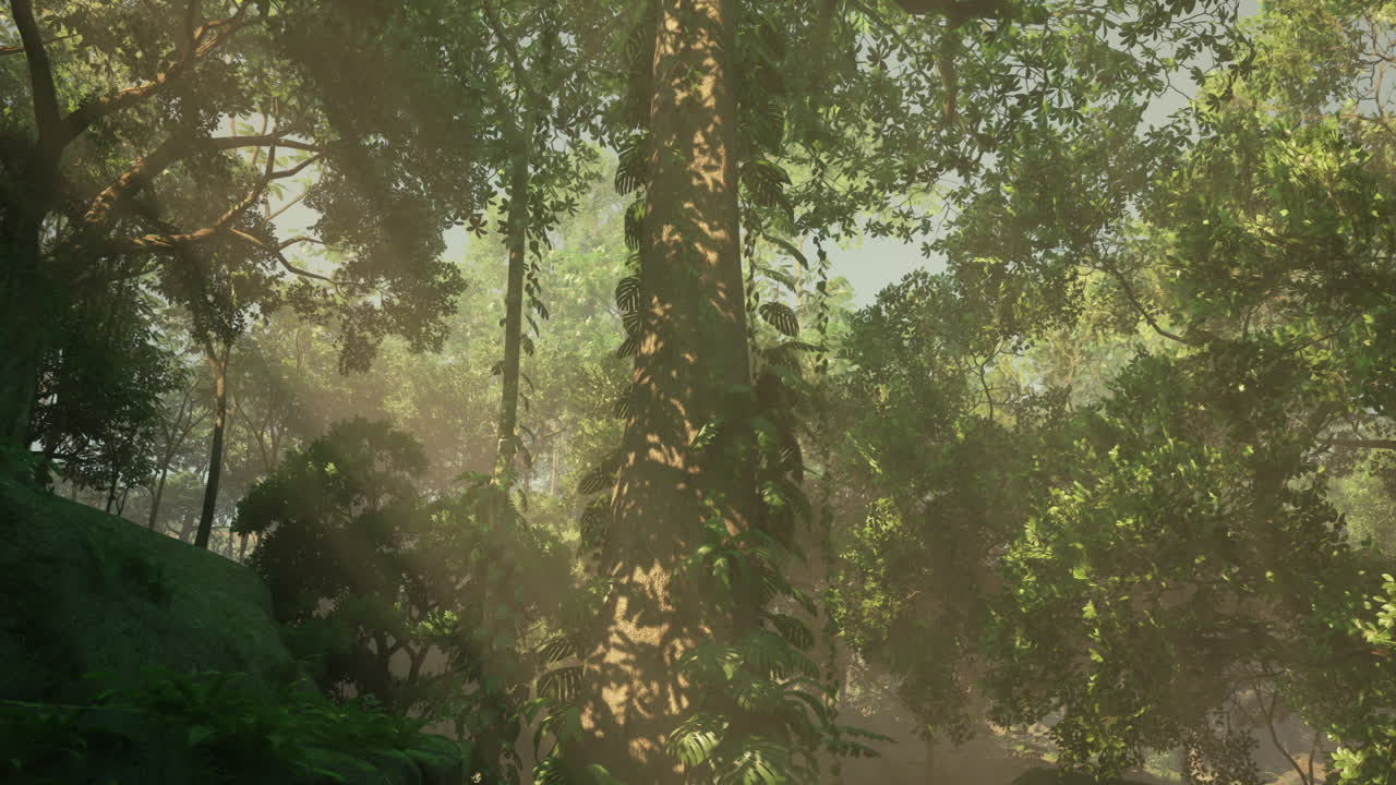 은 정글을 가로질러 빛나는 빛