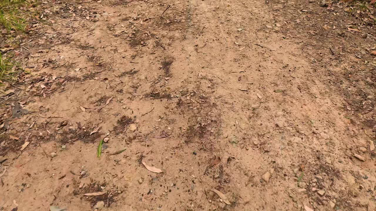 un viaje a lo largo de un sendero escarpado y natural