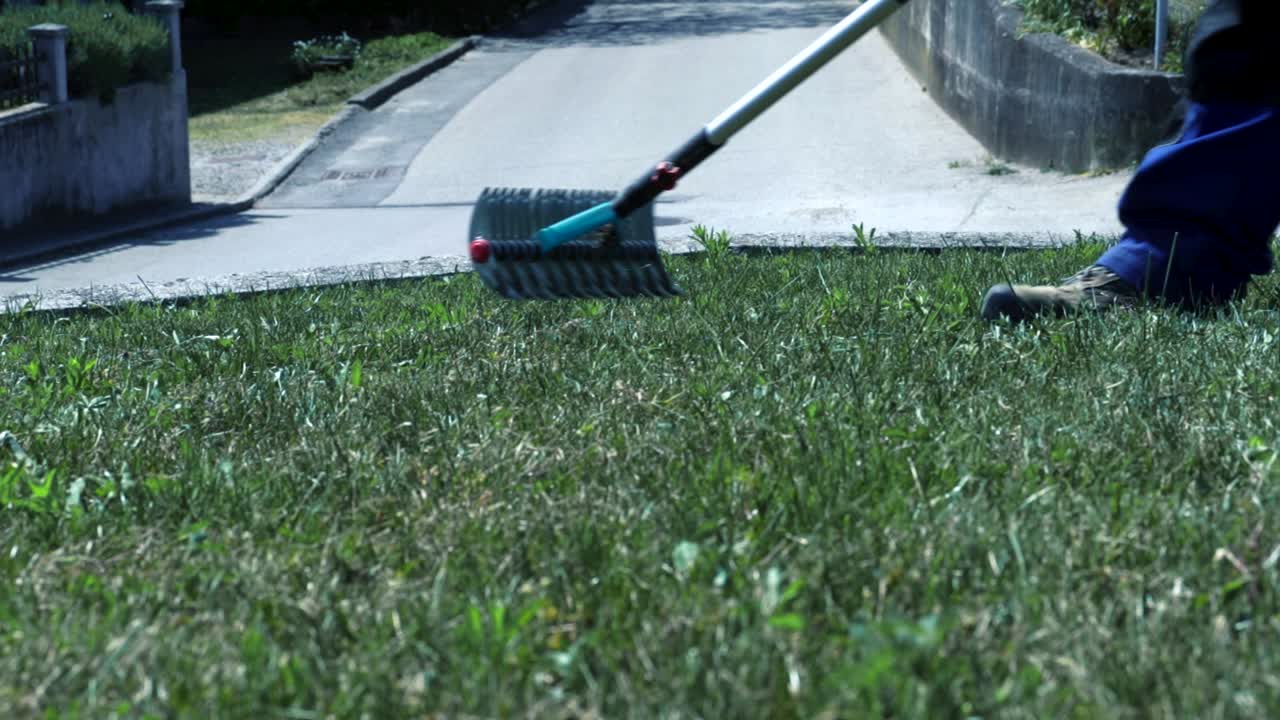 Gardener in action removing dry grass with Thatch Rakes on his lawn in the beginning of the spring, to keep his lawn in good condition.