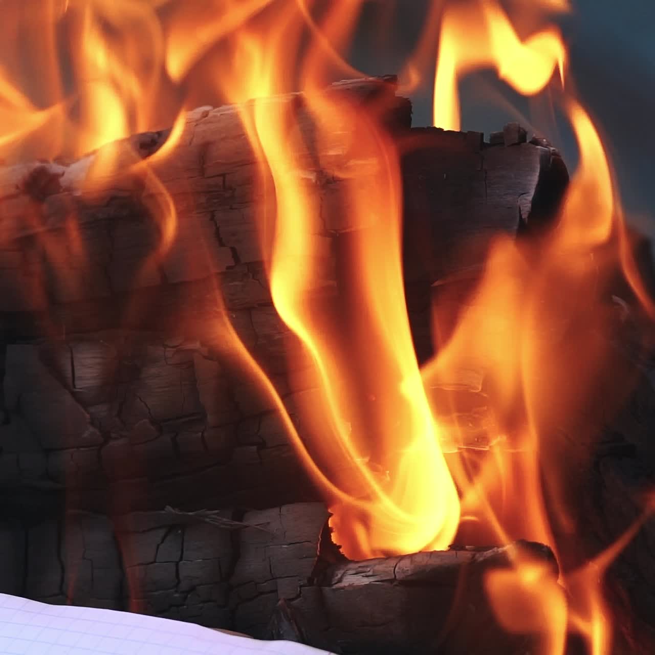 Campfire of the Branches Burn at Night in the Forest. Burning paper in an orange flame closeup. Background of the fire.