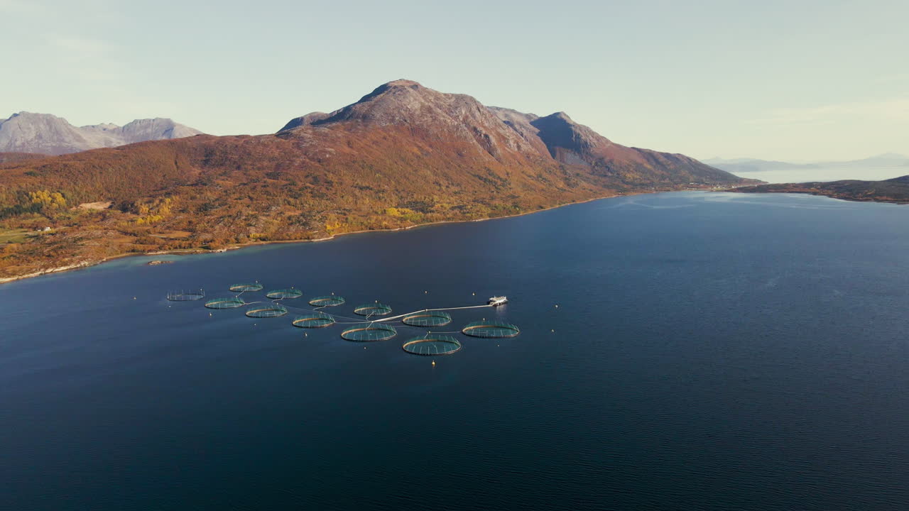 cultivo de salmón en el círculo polar ártico escénico, vista de drones de corrales de salmón