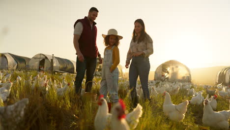 Pollo,-Familia-Y-Granja-Con-Una-Niña.