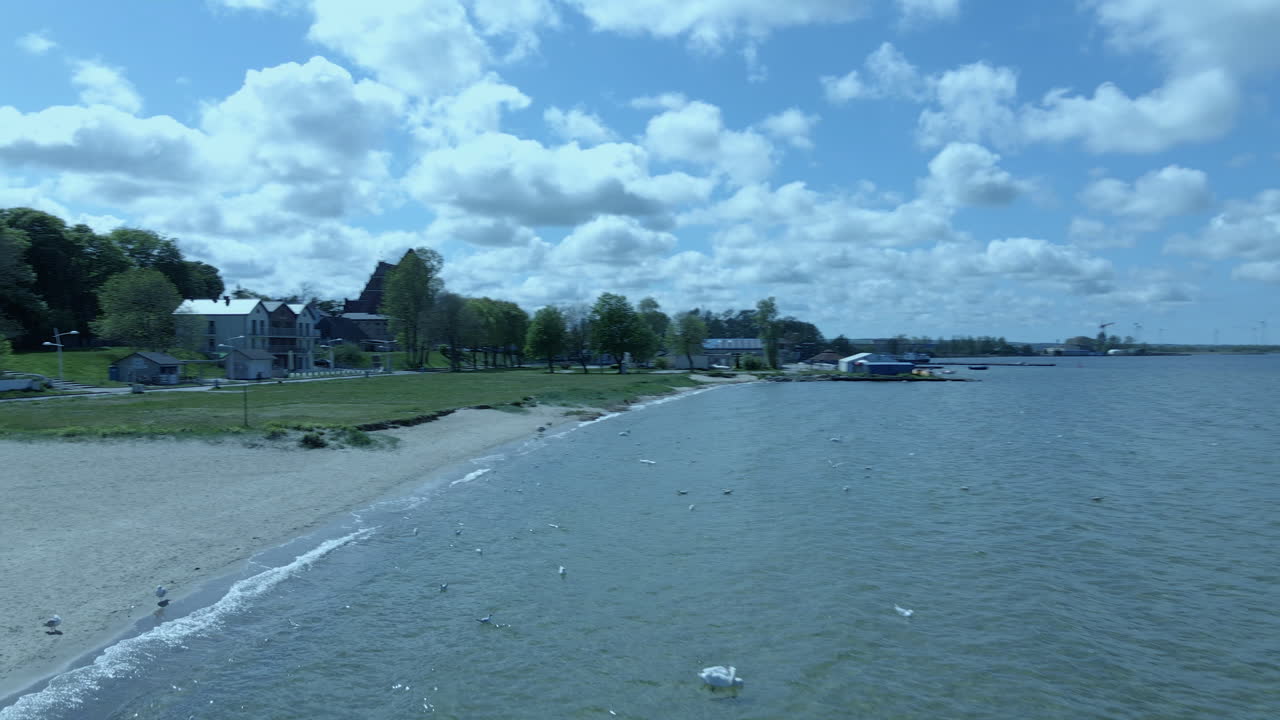Aerial veiw a lot of birds and seagull off the coast , no people and a lot small clouds on sky