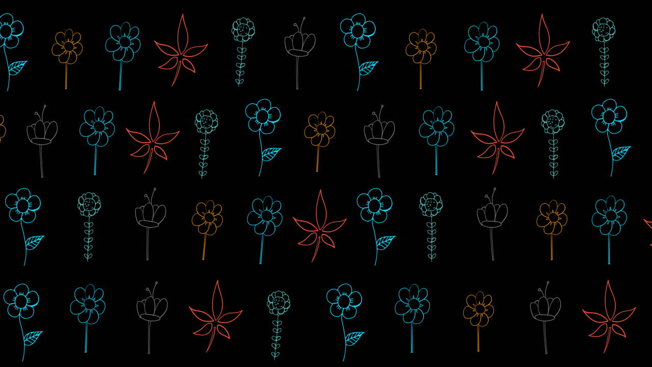 검은 바탕에 다채로운 꽃의 애니메이션