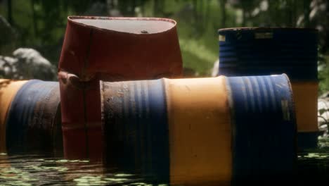 rusty barrels in green forest