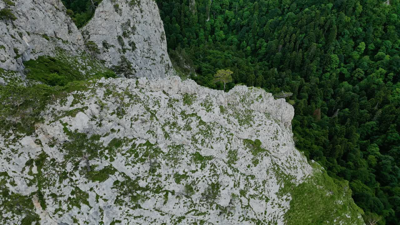 푸른 숲 계곡 위 에 있는 바위 가 있는 하 ⁇  절벽 을 도는  ⁇ 도