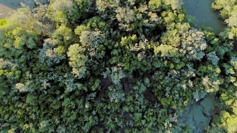 Drone-Volando-Sobre-Un-Río-En-El-Campo