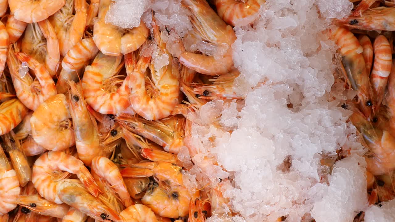 Cooked Shrimp and Ice at a Seafood Market
