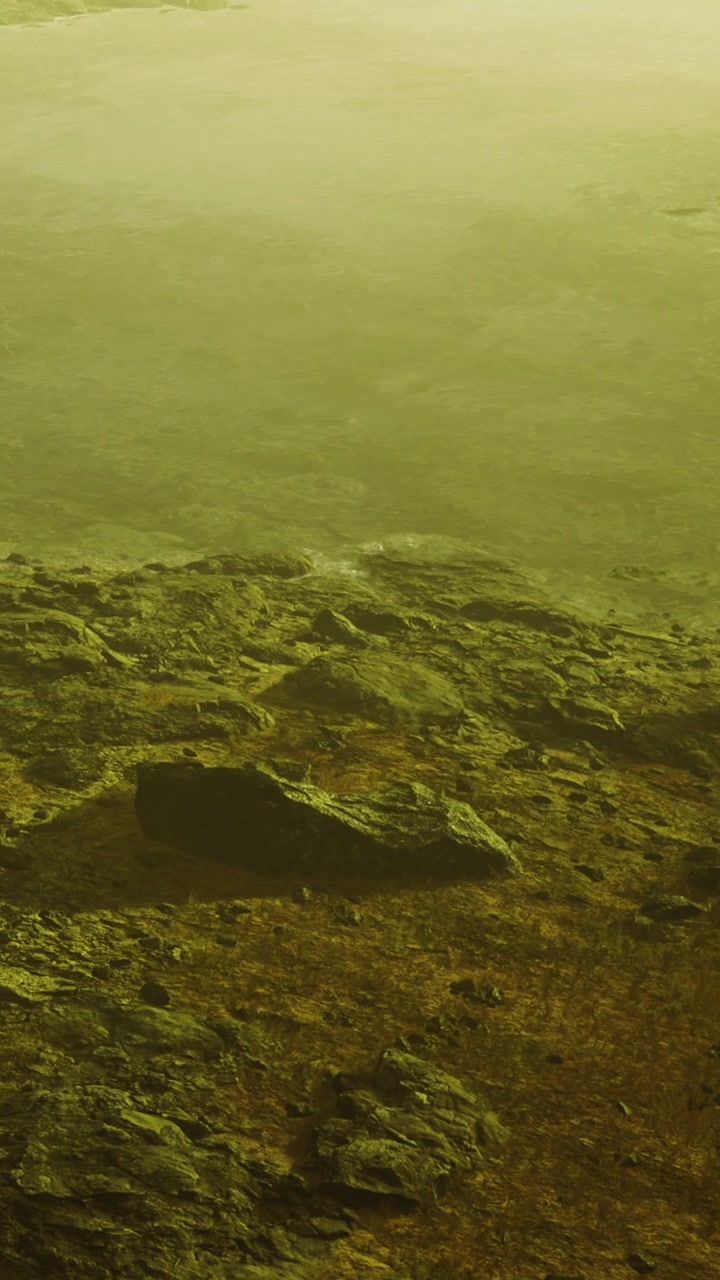 Underwater scene showing rocks and plants on the ocean floor near sunset