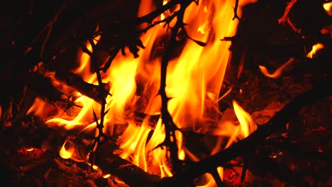 cerca del fuego.