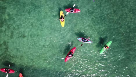 tiro de drone, ángulo de arriba hacia abajo de un grupo de kayaks en el agua, auckland, nueva zelanda