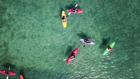 drone shot, top down angle of a group of kayaks in the water, auckland, new zealand