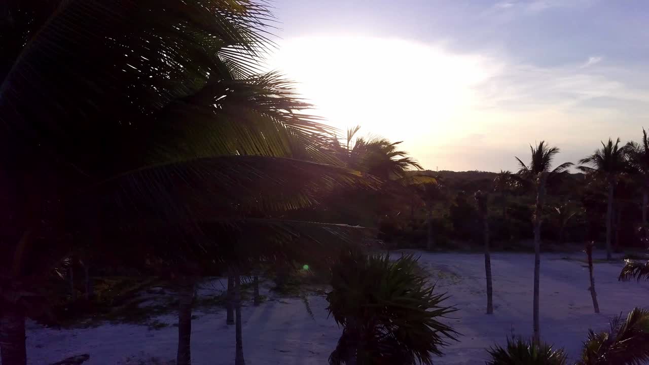 Aerial drone shot. The camera slowly flies over the coconut palms. Beautiful sunset on the coast of the Caribbean Sea. Riviera Maya, Quintana Roo, Mexico