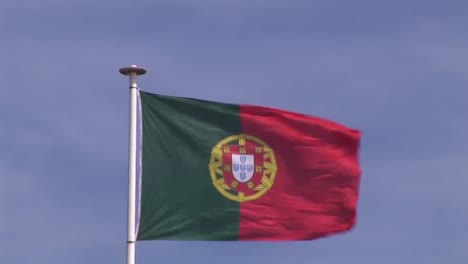 Portugiesische-Flagge