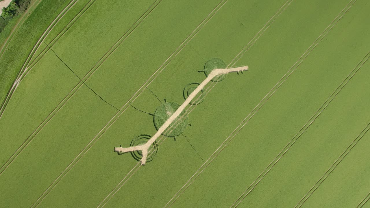윈터보른-바 작물 원 (winterbourne-bassett crop circle) 은 파괴된 정교한 보리  패턴을 내려다보는 공중 조류 시각이다.