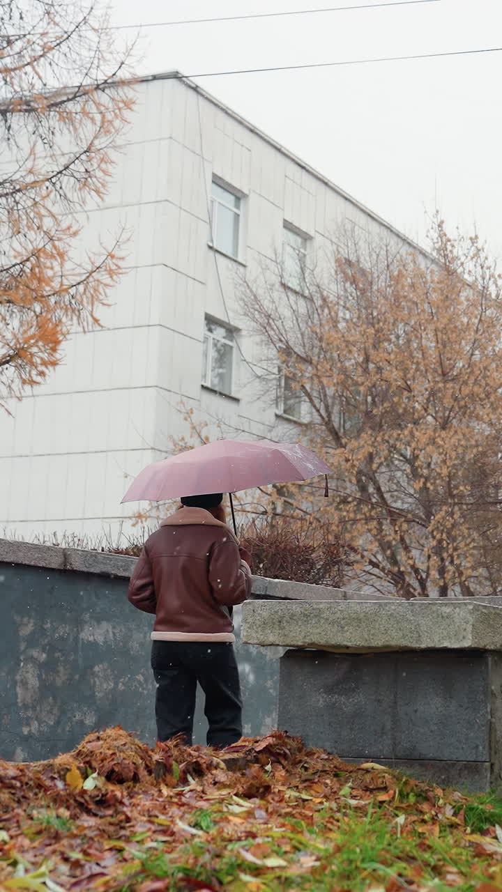 Thoughtful girl holding umbrella, wearing knit cap, brown shearling jacket, walking outdoors during light snowfall. Colorful autumn leaves scattered on ground, peaceful fall scene