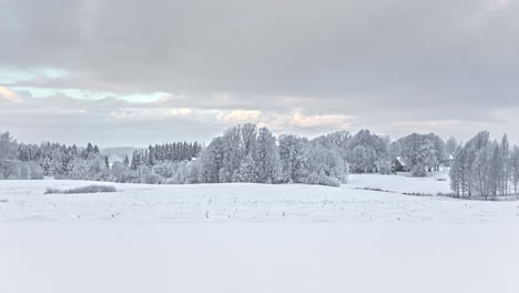 time lapse shot of snowstorm over snowy agricultural field during cloudy day in the morning - sun hiding behind clouds during white winter day