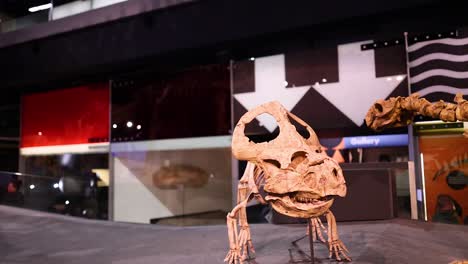 dinosaur skeleton displayed at melbourne museum