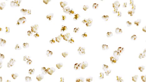 flying many popcorns on white background. white salty popcorn. healthy food. corn seed. 3d loop animation of popcorn rotating.