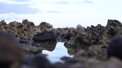 el estanque de marea de olowalu
