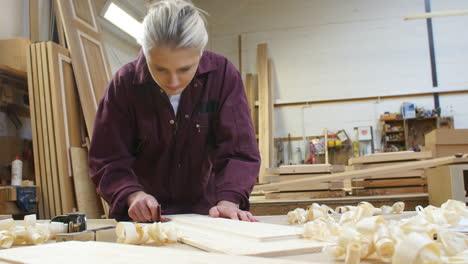 female apprentice sanding wood in carpentry workshop