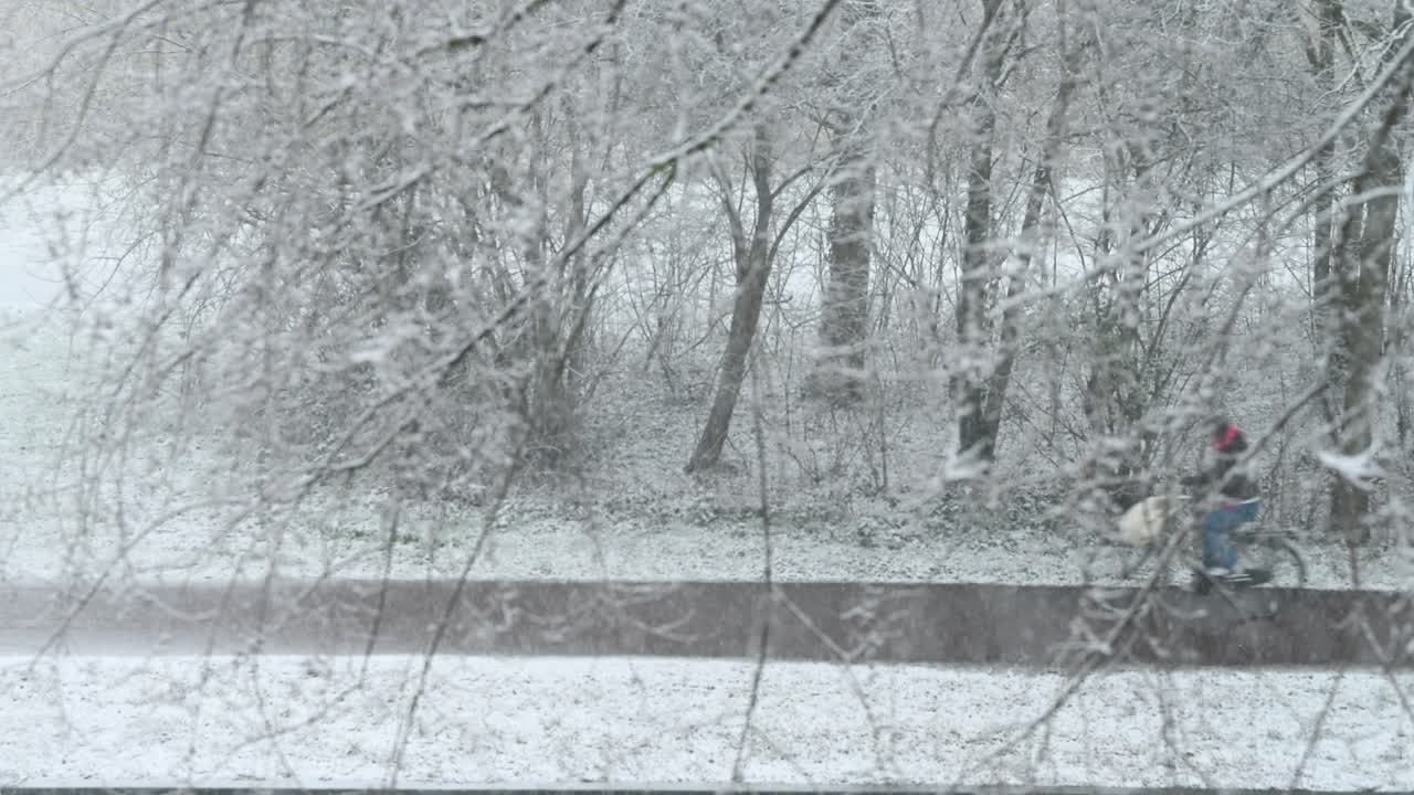Ciclisti sfocati e veloci che pedalano sotto una fitta nevicata tra gli alberi spogli