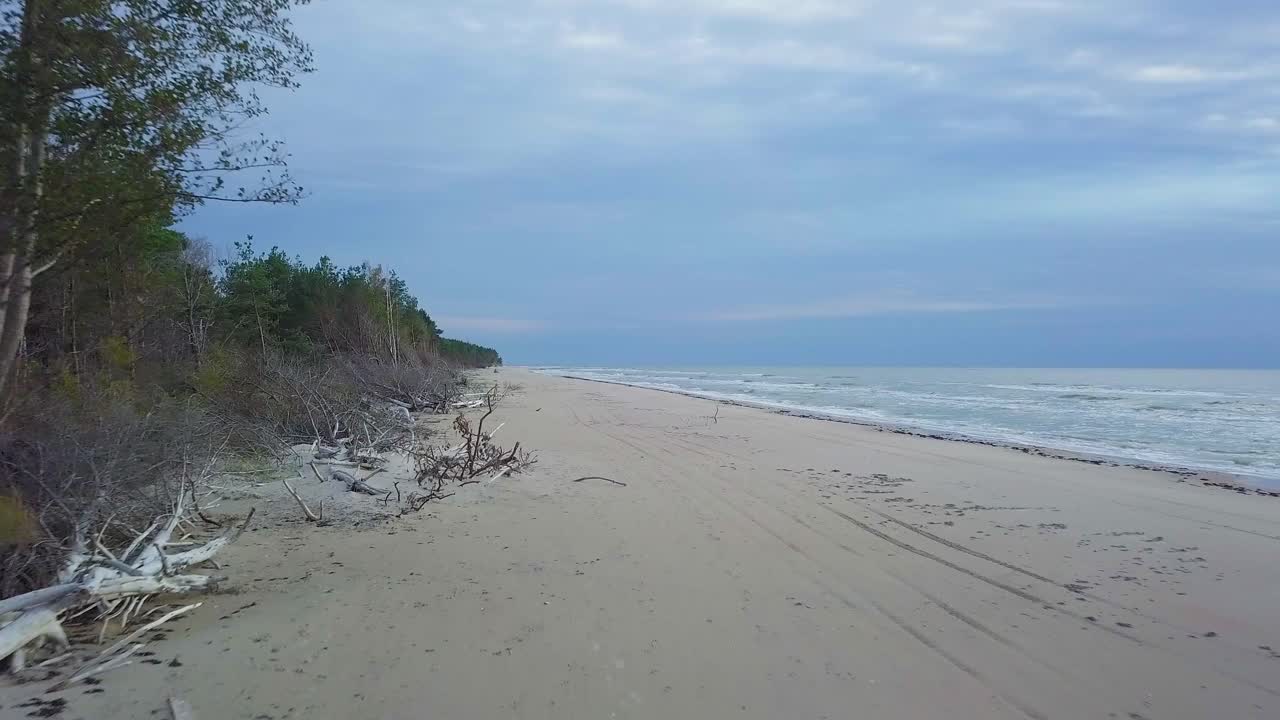 Beautiful aerial establishing view of Baltic sea coast on a sunny evening, sunset, golden hour, beach with white sand, coastal erosion, climate changes, low wide angle drone shot moving backward