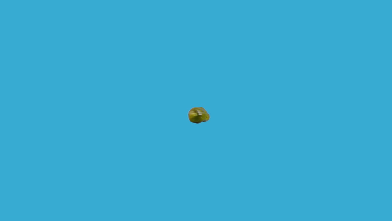pickle spinning around horizontal in loop motion