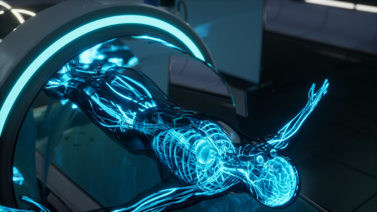 exploración de la anatomía de los vasos sanguíneos humanos