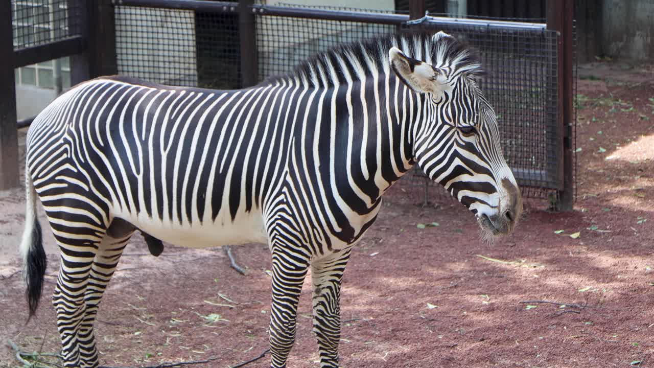 la mejor vista en yokohama