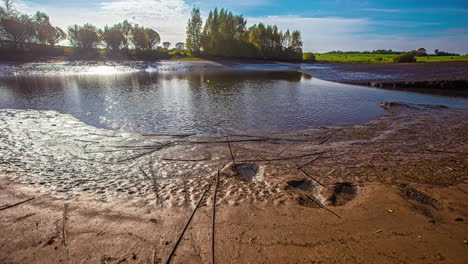 a tidal pool drains and people gather fish in a simple fish farming operation - time lapse