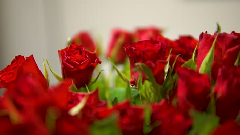 close up large bouquet red rose flower low depth of field