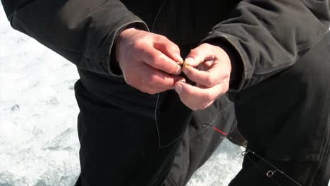 el hombre prepara el anzuelo con cebo para la pesca en hielo de invierno - cerrar