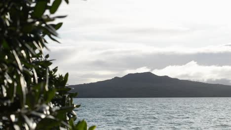 從後面拍攝的rangitoto島火山的照片