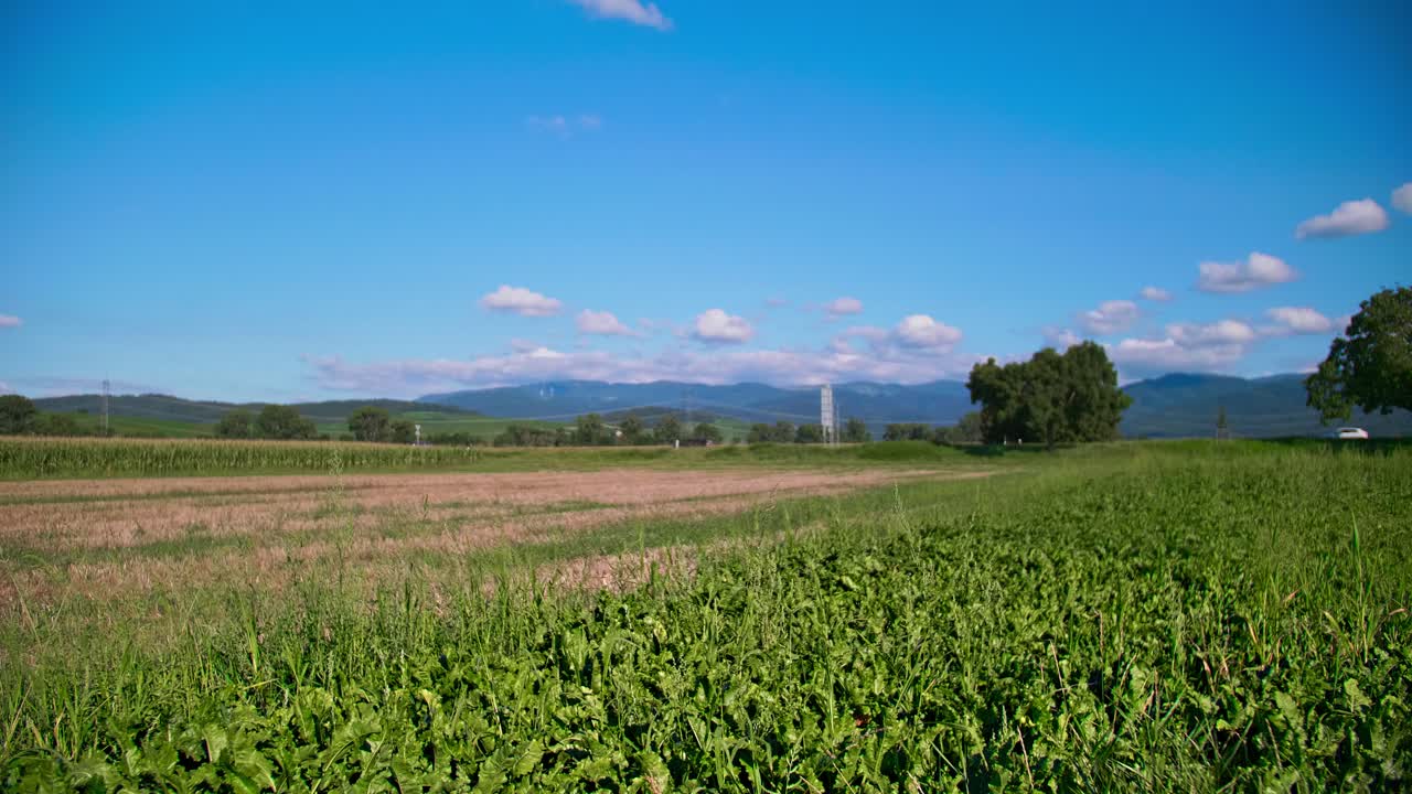 Campos agrícolas en el sur de Alemania en un día soleado, paisaje rural sostenible