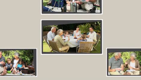 montage of grandparents spending time with their family