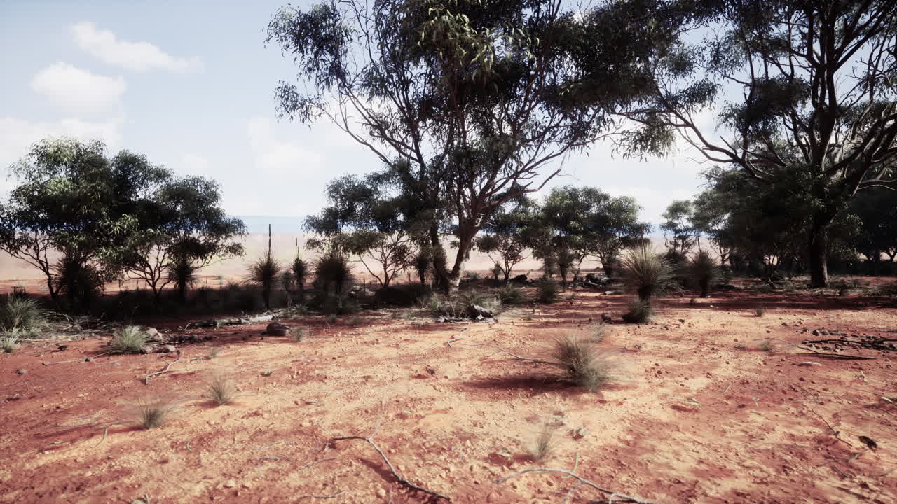 paisaje del interior de australia