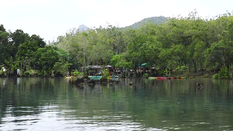 una tranquila vía fluvial rodeada de exuberante vegetación