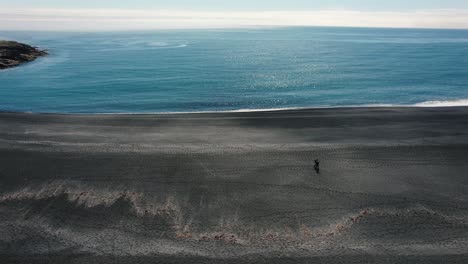 Drohnenaufnahme,-Die-Um-Zwei-Personen-Kreist,-Die-An-Einem-Sehr-Langen-Schwarzen-Strand-In-Island-4k-Spazieren-Gehen