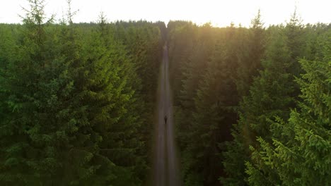 Man-walking-optimistically-alone-on-a-path-in-the-forest-at-sunset