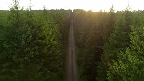 man walking optimistically alone on a path in the forest at sunset