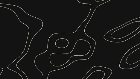 an abstract black design featuring dynamic curved lines and shapes moving in various directions, creating an energetic and versatile pattern suitable for diverse applications
