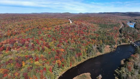 Coloración-Otoñal-En-El-Denso-Bosque-Con-Río-Durante-El-Día.