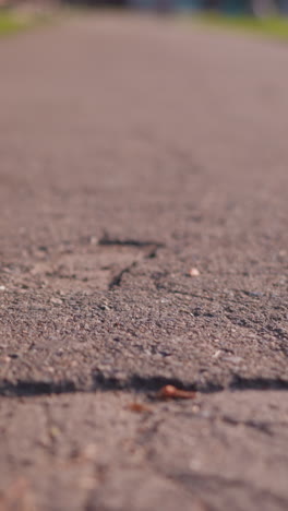 close-up of cracked, textured road surface with visible fissures and rough patches, leading towards a blurred background with green foliage