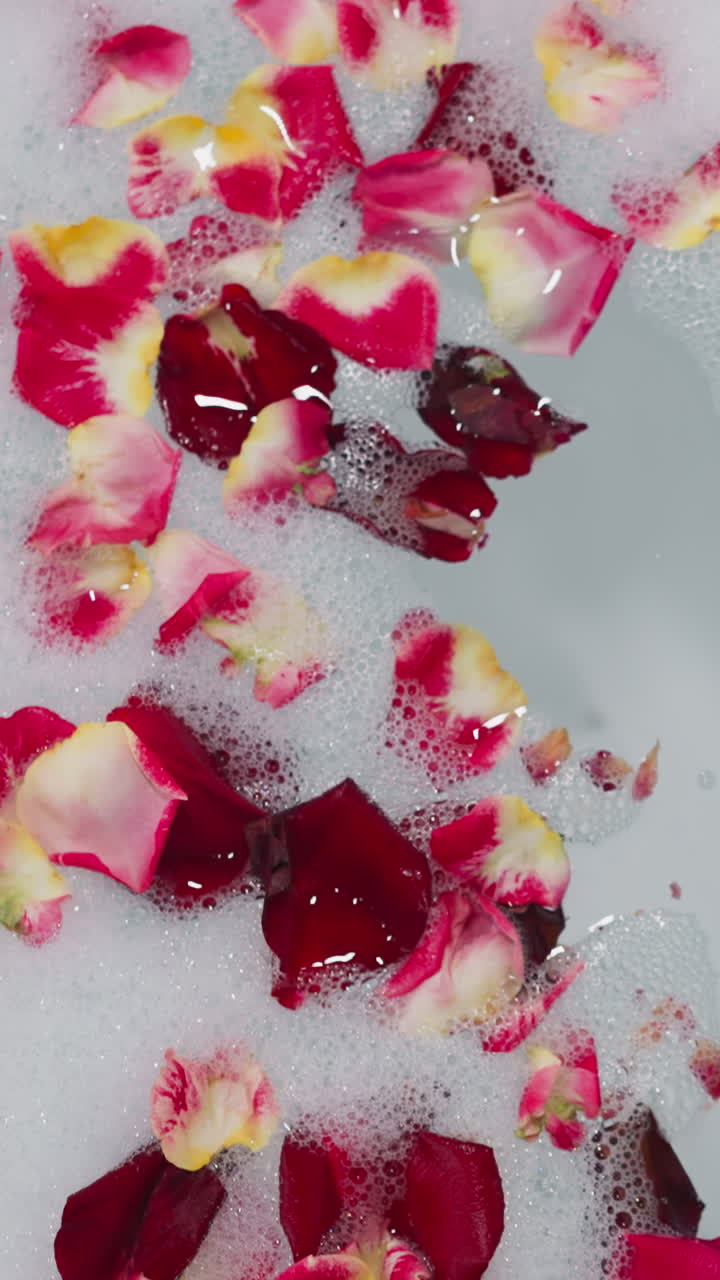 은 꽃잎은 은 욕조 물 근접. 신선한 빨간 꽃은 스파 살롱 상단에서 은 액체에 떠 있습니다. 발렌타인 데이를위한 만적 인 장식.