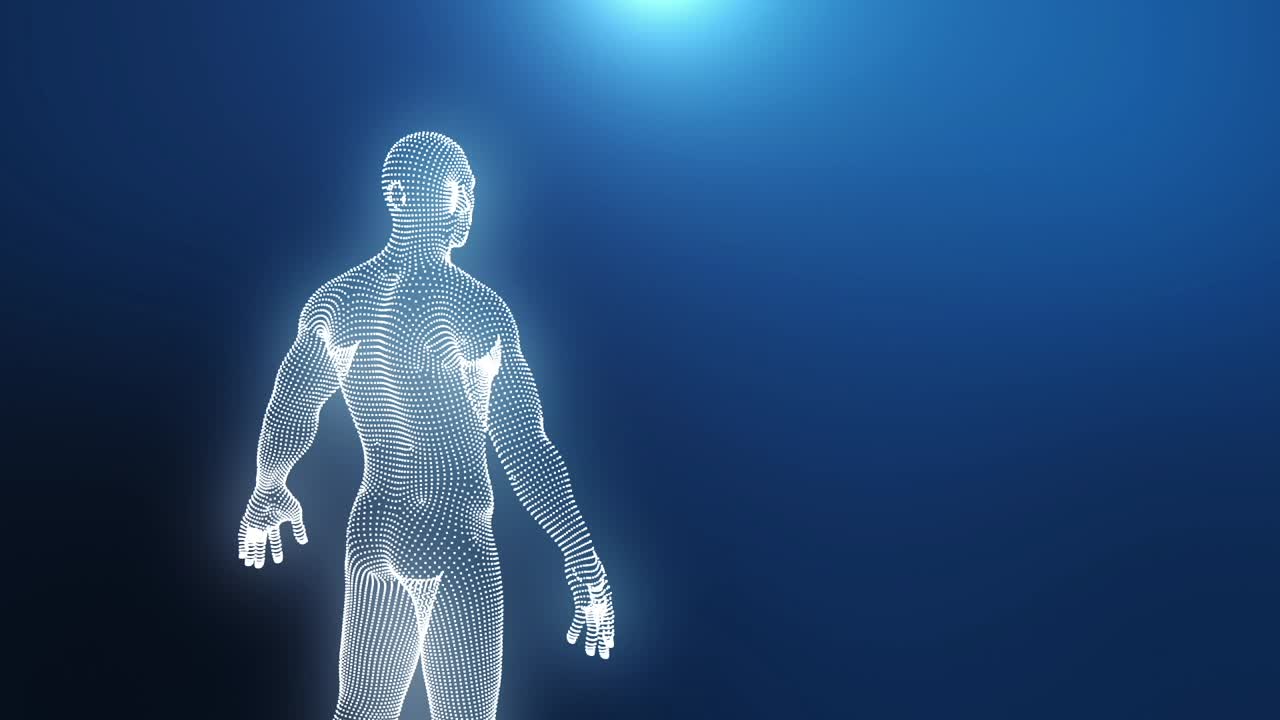 3D Human Body Wireframe Visualization