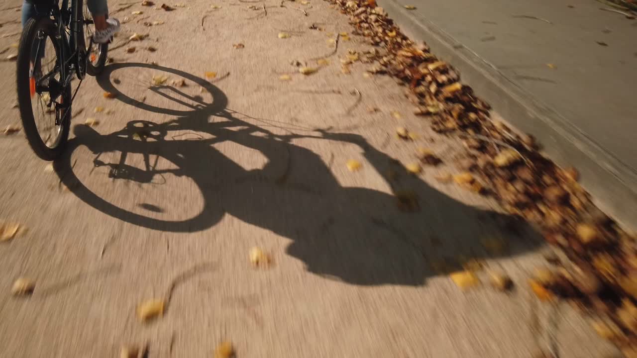 Shadow of Woman Riding a Bicycle in Autumn With Fallen Tree Leaves